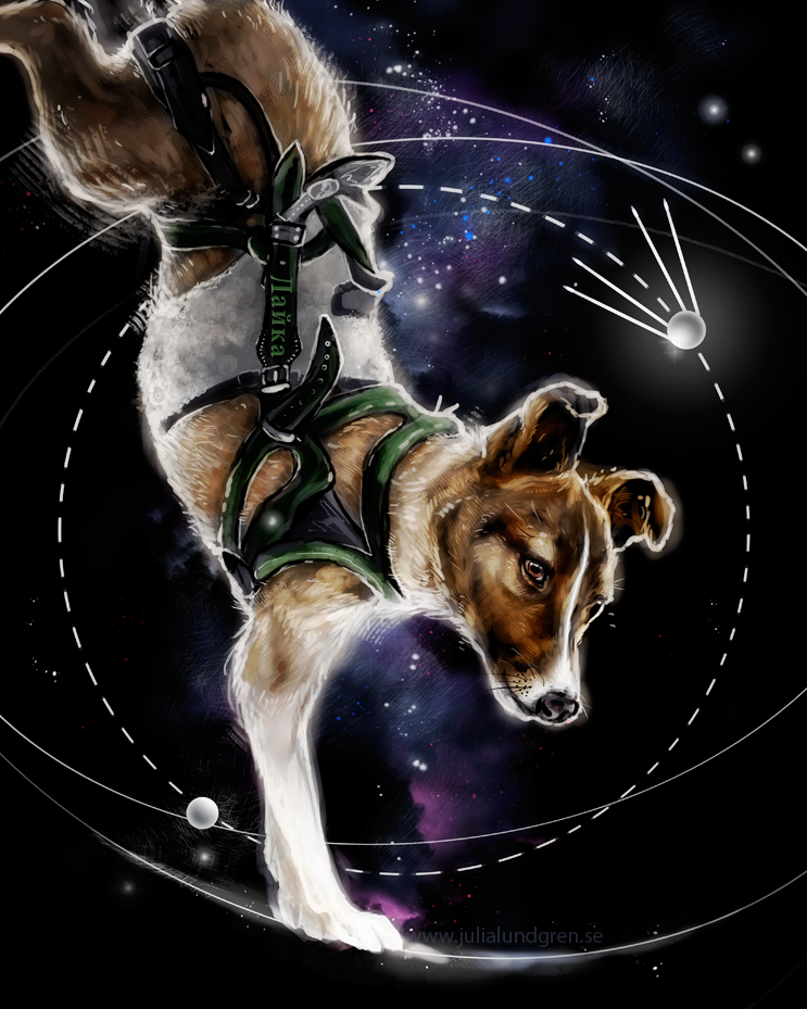 1 собака лайка. Лайка космонавтики. Собаки в космосе. Лайка в космосе. Лайка космонавт.